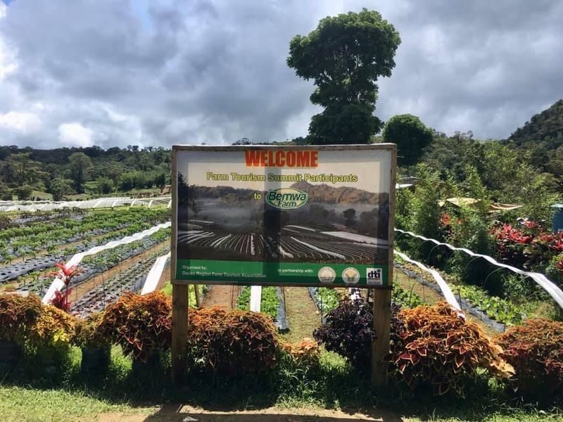 Highlands Tour in Davao - Hills View, Sonnen Berg and the search for clouds