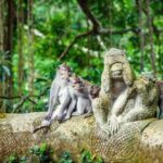Highlights of Bali Private 2 Days Tour - Day two: beaches, cliffside Uluwatu and the fire dance