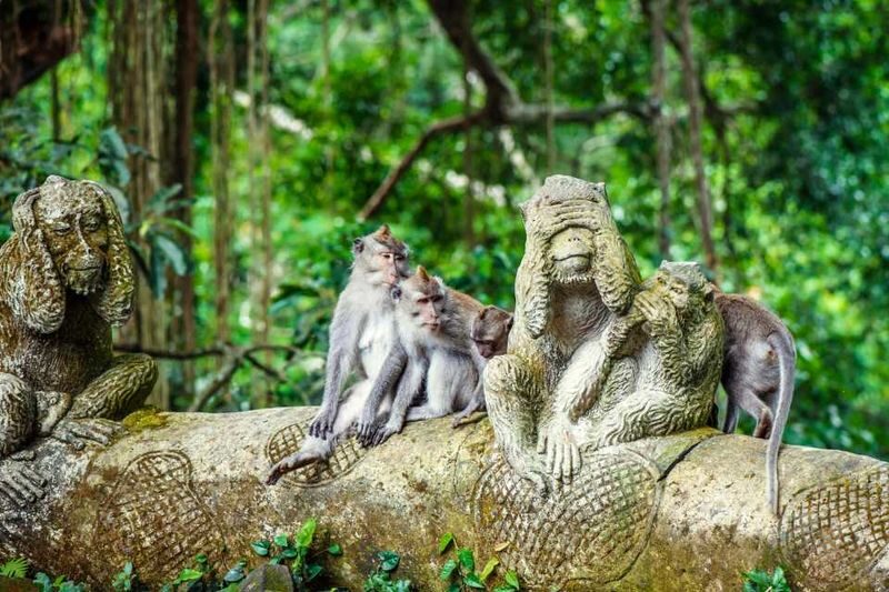 Highlights of Bali Private 2 Days Tour - Day two: beaches, cliffside Uluwatu and the fire dance