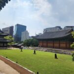 Highlights of Seoul: Deoksugung Palace & N Seoul Tower - Bukchon’s traditional houses in half an hour