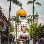 Highlights of Singapore Instagram Walking Tour - Merlion views, city stories, and photo stops