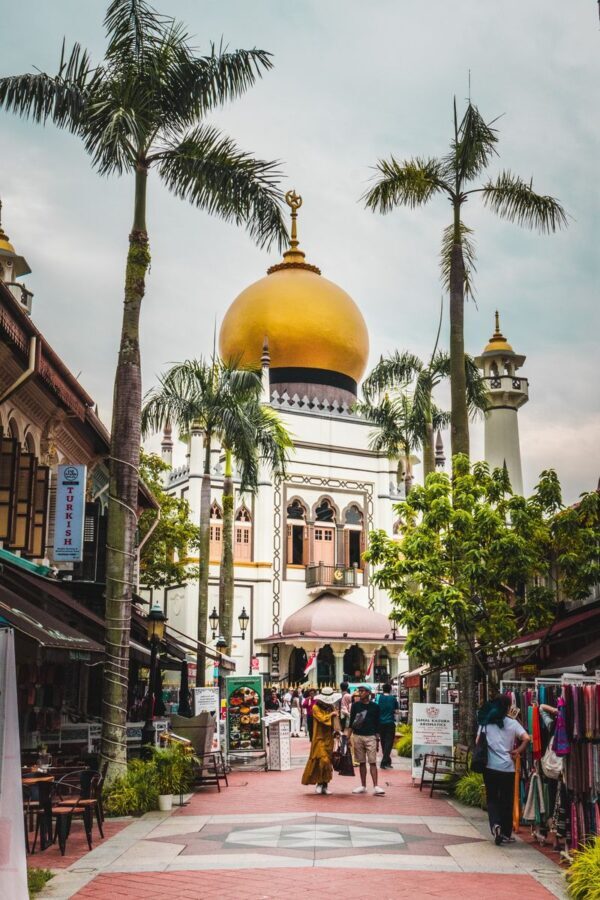 Highlights of Singapore Instagram Walking Tour - Merlion views, city stories, and photo stops