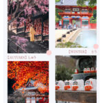 Hiking to admire autumn leaves: Kyoto Secret Autumn Leaves Hiking Day Tour: Katsuo-ji Temple Prayer + Adashino Nenbutsu-ji Temple + Arashiyama Bamboo Grove (Departing from Osaka) - Otagi Nenbutsu-ji and its stone rakan