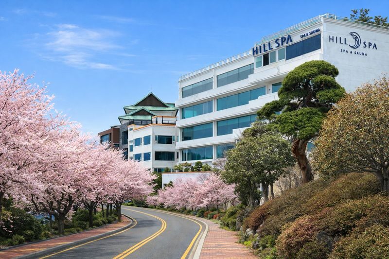 HillSpa Jjimjilbang Ticket in Busan Haeundae - A jjimjilbang, not a resort spa