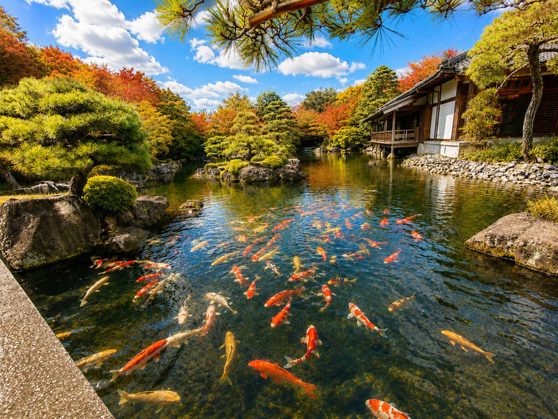 Himeji Castle, a World Heritage Site, Arima Onsen, one of Japans three ancient hot springs, and Mount Rokko Observation Deck Day Tour (Departing from Osaka) - Koko-en: a quieter pause beside the castle