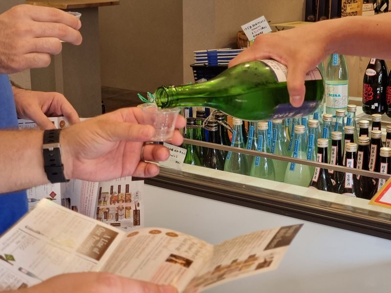 Himeji Half-Day Private UNESCO Castle & Sake Tour - A guide changes how you read the castle
