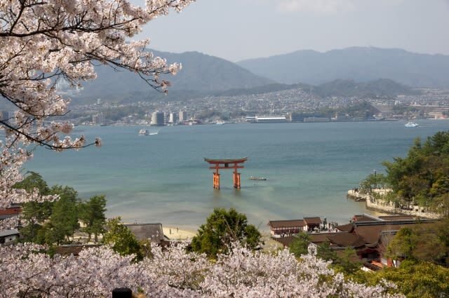 Hiroshima Peace Memorial Museum & Miyajima Itsukushima Shrine One-day Bus Tour - A guide makes the memorial sites easier to understand