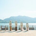 Hiroshima Saijo Sake & Okunoshima Private Full-Day Tour - Lunch Is on Your Own