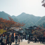 Hiroshima to Miyajima: Private 6-Hour Tour with Local by Ferry - The ferry ride sets the day in motion