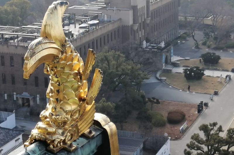 Historical & Cultural Half-Day Small Group Walking Tour - Osaka Castle: grand scale, limited time