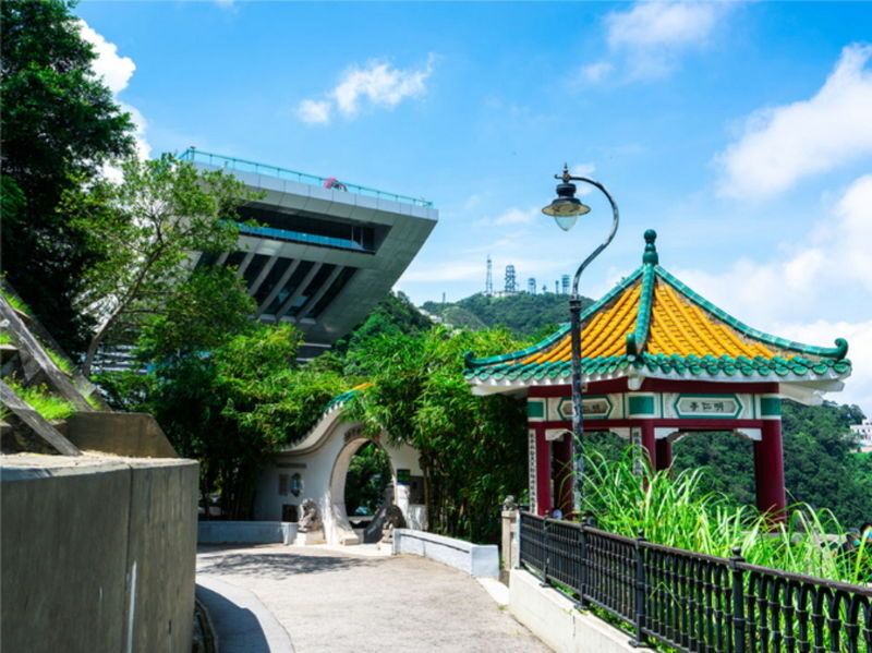 HK In-depth Tour | Round-trip Peak Tram Ride + Tim Ho Wan DimSum - Walking Through Central’s Older Streets