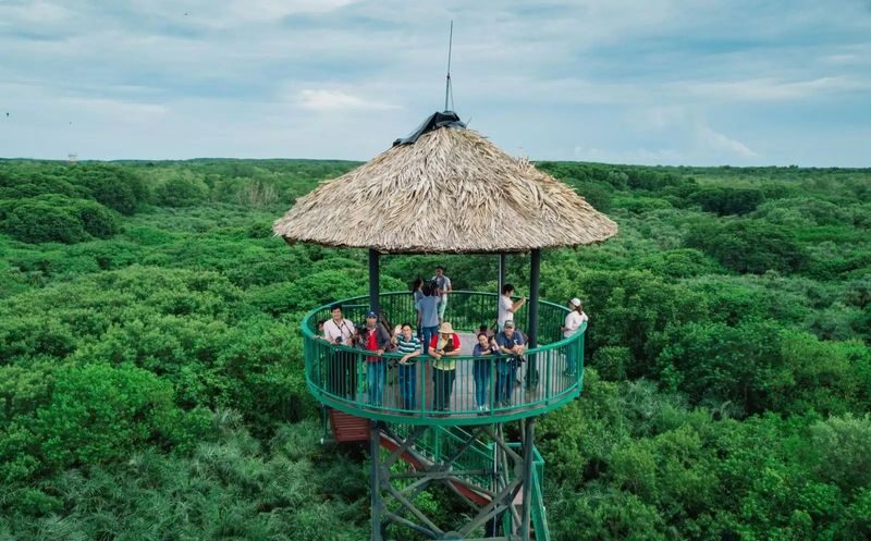 Ho Chi Minh Rung Sac Can Gio Half-Day UNESCO Site Tour - Seeing Wildlife in the Rung Sac Mangroves