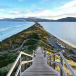 Hobart Bruny Island Full-Day Coast & Wildlife Tour - Wildlife adds a different kind of island day