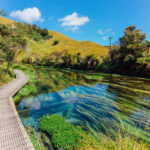 Hobbiton and Blue Springs Small Group Tour from Auckland - The road from Auckland to Hobbiton