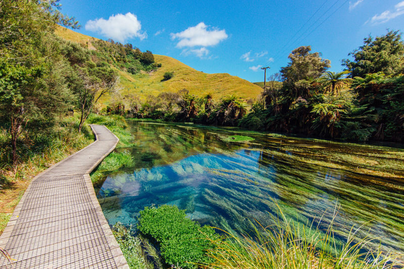 Hobbiton and Blue Springs Small Group Tour from Auckland - The road from Auckland to Hobbiton