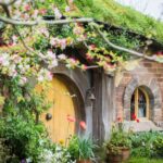 Hobbiton and Lord of the Rings Movie Set Tour - The guided journey from Buckland Road