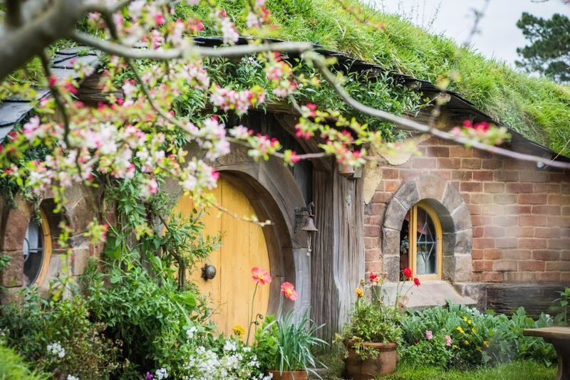 Hobbiton and Lord of the Rings Movie Set Tour - The guided journey from Buckland Road