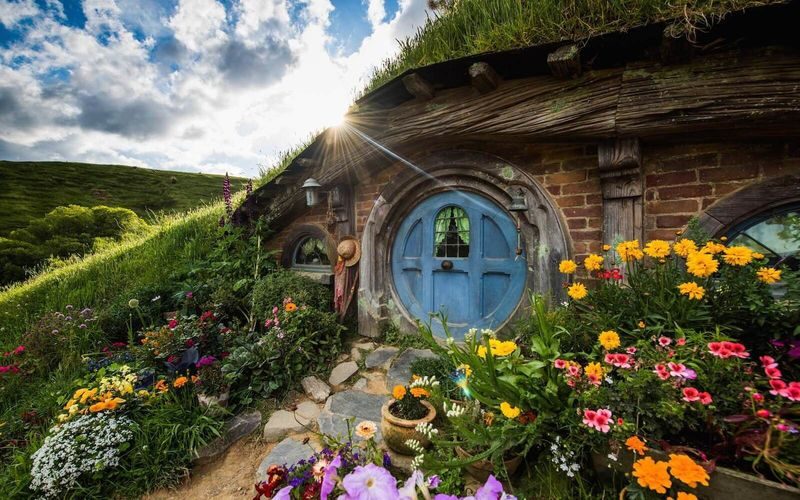 Hobbiton Movie Set Tour with Buffet Lunch from Auckland - Walking into Hobbiton