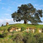 Hobbiton Movie Set Tour with Buffet Lunch from Rotorua - A rare look inside a Hobbit Hole