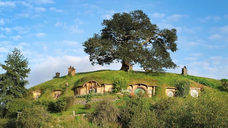 Hobbiton Movie Set Tour with Buffet Lunch from Rotorua - A rare look inside a Hobbit Hole