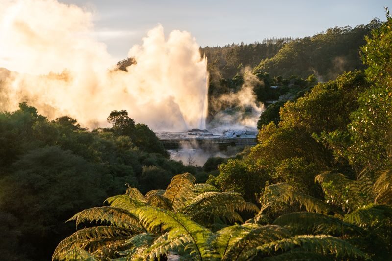 Hobbiton & Rotorua Small Group Day Tour with Te Puia - Te Puia brings heat, Māori culture, and a different kind of story