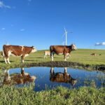 Hohhot Huitengxile Grassland & Ulan Hada Volcano Small Group Tour - Huitengxile Grassland, with turbines in view