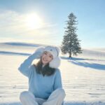 Hokkaido 1-Day Highlights Tour: Asahiyama Zoo, Biei Blue Pond, Ningle Terrace (Departing from Sapporo - optional winter snowmobiling - multiple routes available) - Biei’s Patchwork Road and the Seven Stars Tree