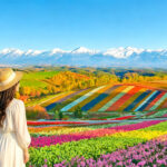 Hokkaido Asahikawa Furano Seasonal One-Day Tour: Shikisai-no-Oka Flower Viewing/Winter Asahiyama Zoo/Biei Blue Pond & Ningle Terrace Illumination - Lunch in Furano: bring your own spending money