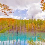 Hokkaido Asahiyama Zoo & Forest Elf Terrace Day Trip - Asahiyama Zoo: the strongest anchor stop