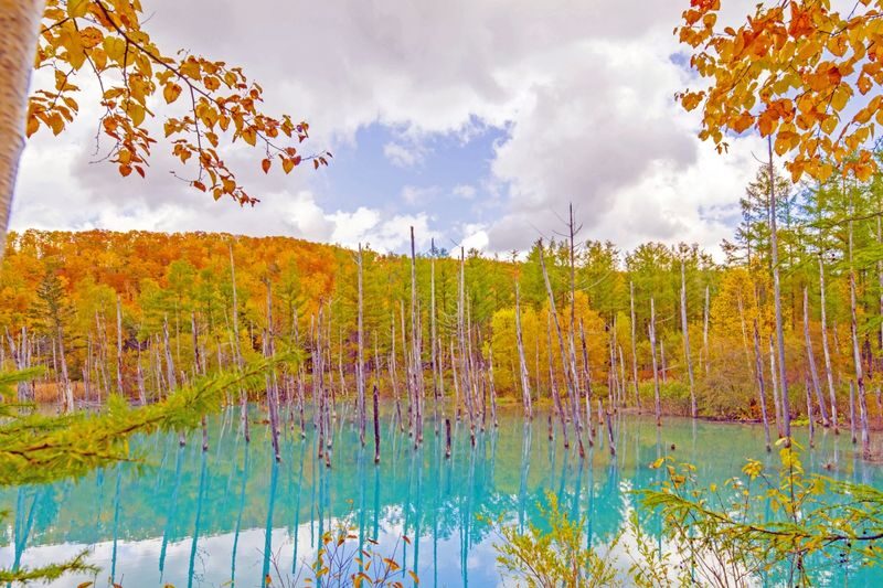 Hokkaido Asahiyama Zoo & Forest Elf Terrace Day Trip - Asahiyama Zoo: the strongest anchor stop