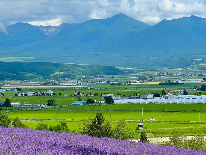 Hokkaido Autumn Exclusive | Farm Tomita, Shikisai no Oka, Blue Pond, Shirasu Waterfall Day Tour (Departing from Sapporo) - Shikisai no Oka puts the flower fields up close