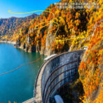 Hokkaido Autumn Foliage Day Tour: Hoheikyo Gorge, The Great Buddha Hall, Takino Suzuran Hillside Park, Lake Shikotsu, and Shiroi Koibito Park - The Great Buddha Hall adds a change of pace