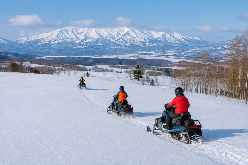 Hokkaido Biei Chiyoda Farm Snowmobile Experience | Includes Farm-Limited Jersey Milk - Riding solo, or sharing with a child