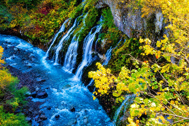Hokkaido Biei Furano Day Tour: Shikisai-no-Oka, optional snowmobile in winter, Shirogane Blue Pond, Shirahige Waterfall, Ningle Terrace - Biei Station: lunch and a short breather