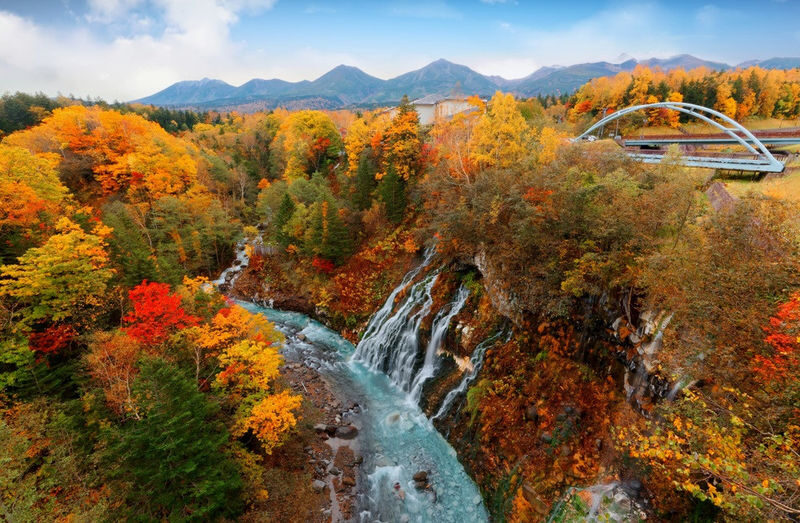 Hokkaido: Customizable Private Car Charter Day Tour | Departs from Sapporo - Choosing between Sapporo, Otaru, and the countryside