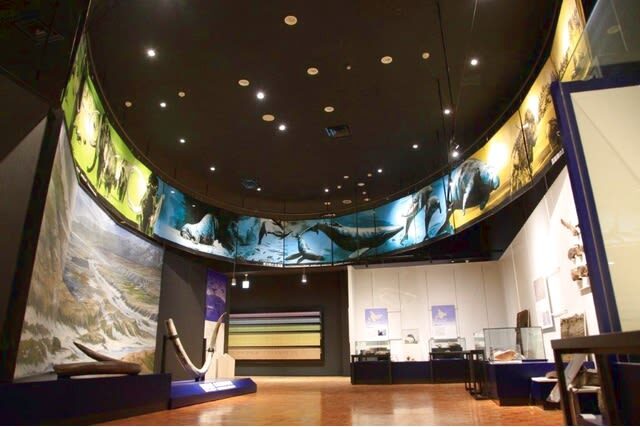 Hokkaido Museum [General Exhibition] Admission Ticket in Sapporo - From artifacts to dioramas and video