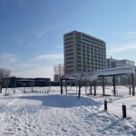 Hokkaido Must-See! Asahikawa Biei Furano Leisurely One-Day Tour: Ningle Terrace Illumination Trip: Small group of 7-9 people - Sapporo Station to Asahikawa