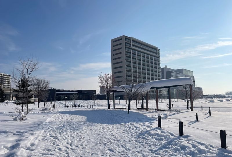 Hokkaido Must-See! Asahikawa Biei Furano Leisurely One-Day Tour: Ningle Terrace Illumination Trip: Small group of 7-9 people - Sapporo Station to Asahikawa