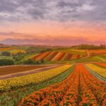 Hokkaido | Noboribetsu, Lake Toya, Asahikawa Private Chartered Day Tour | Customizable Itinerary - What to see in Noboribetsu
