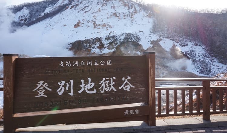 Hokkaido Noboribetsu & Lake Toya Day Trip | Optional Small Group | Bilingual in Chinese and English - Showa Shinzan: choose a ropeway or bears