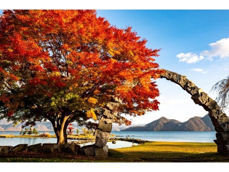 Hokkaido | Noboribetsu, Lake Toya, Niseko Day Trip: Mount Yotei (Little Fuji) & Takahashi Farm & Lake Toya & Noboribetsu Hell Valley & Bear Park & Kyogoku Spring Water Park & Winter Lake Shikotsu Ice Festival Day Trip | Departing from Sapporo - Lake Shikotsu: a calm opening stop
