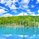 Hokkaido One-Day Tour | Shikisai no Oka & Farm Tomita & Asahiyama Zoo & Ningle Terrace | Depart from Sapporo - Summer and autumn: rolling fields, blue water and flowers