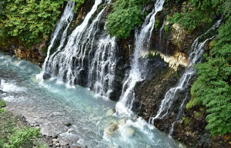 Hokkaido Shikisai no Oka & Farm Tomita Full-Day Small Group Adventure - Shikisai-no-Oka: color on a grand scale