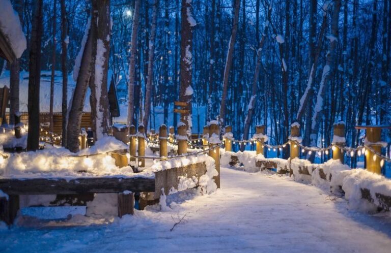 Hokkaido Super Chill 2-Day Light Trip | ROYCE Chocolate Factory, Asahiyama Zoo, Biei Seven Star Tree, Shirahige Falls, Bibai Snowland Fun, Ningle Terrace Illumination | Chinese Tour Guide - Day one: chocolate, snow play and a hot spring night