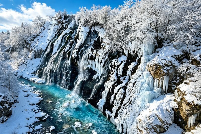 Hokkaido Winter Full-Day Tour | Penguin Walk, Platinum Blue Pond, Shirahige Falls, Forest Elf Terrace | Departure from Sapporo, Chinese and English Tour Guide - Asahiyama Zoo: winter animals and a possible penguin parade
