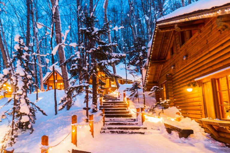 (Hokkaido Winter Illumination) Blue Pond Illumination & Ningle Terrace & Shirahige Waterfall & Shikisai no Oka & Biei Christmas Tree One-Day Tour (Departing from Sapporo) - Shikisai no Oka under snow