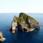 Hole in the Rock Cruise and Island Tour in Bay of Islands - Two island stops, not just a passing view
