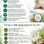 Holi Massage | Dragon Tendon & Phoenix Tendon Spa Bangkok Ratchada - Choosing between Dragon, Phoenix, and oil