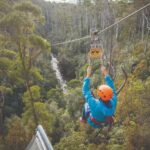 Hollybank Zipline, Segway, and Tree Ropes in Launceston - Choose a zipline for height, speed and tree stories