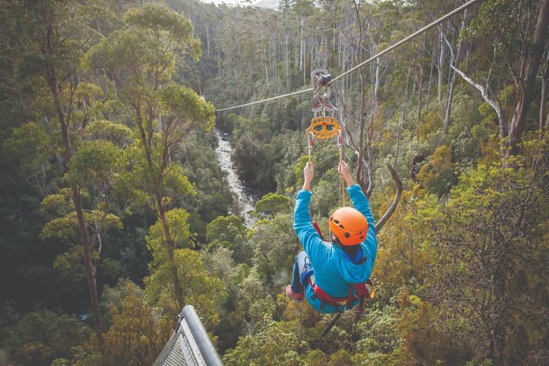 Hollybank Zipline, Segway, and Tree Ropes in Launceston - Choose a zipline for height, speed and tree stories